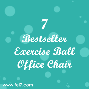 Exercise Ball Office Chair